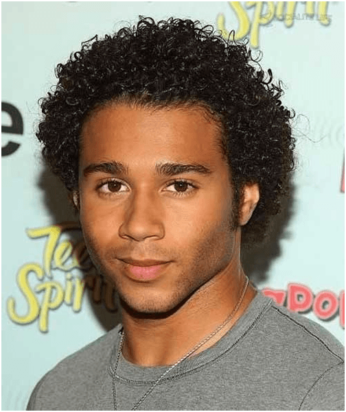 Afro Hairstyles for Men