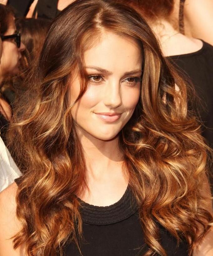 Striking Brown Hair with Golden Highlights