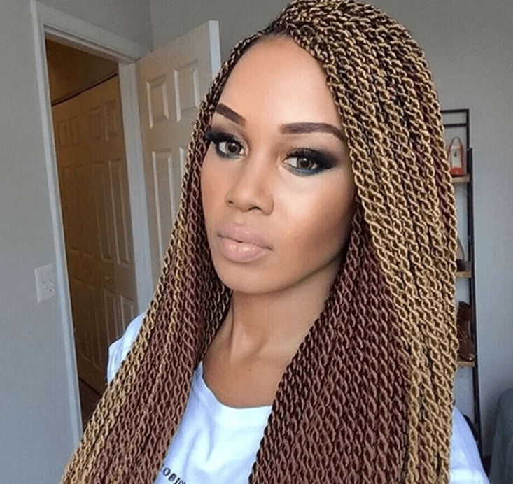 Two Toned Twisted Braids