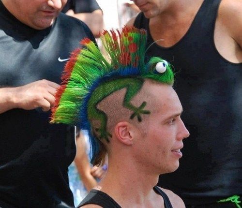 The Colorful Chameleon Mohawk