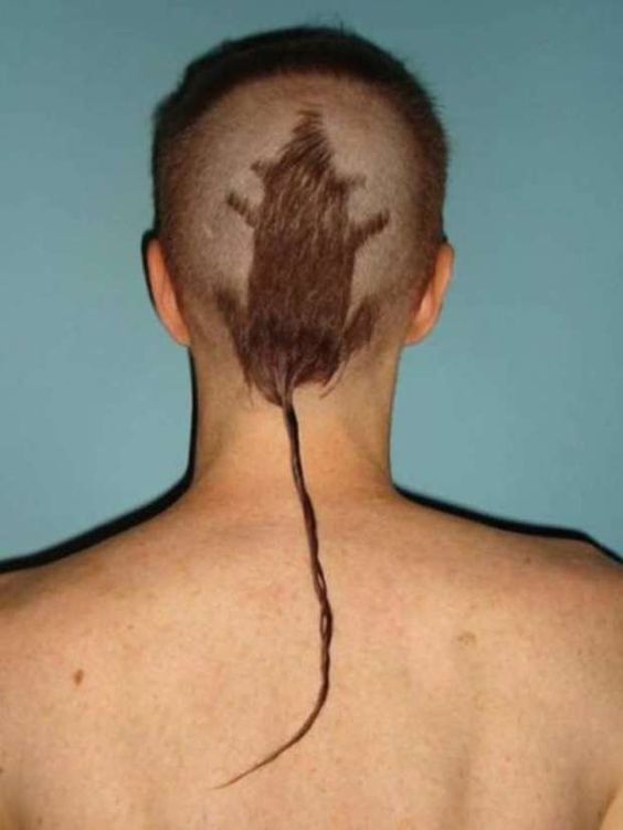The Rat on Head with a long tail