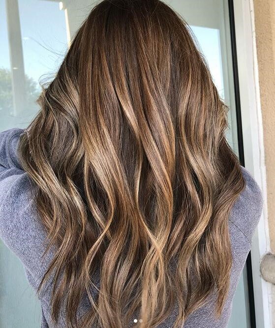 Dark Brown Hair with Bronze Highlights