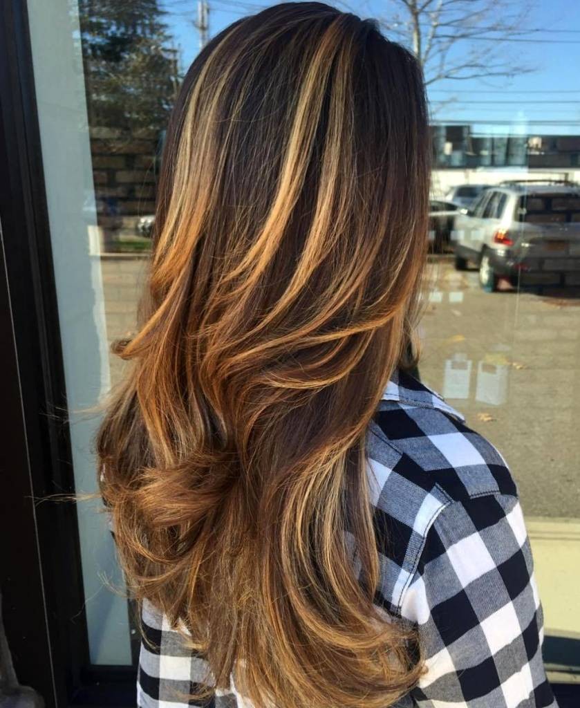 Brown Hair with Highlights Ideas for Any Hair  Glaminati