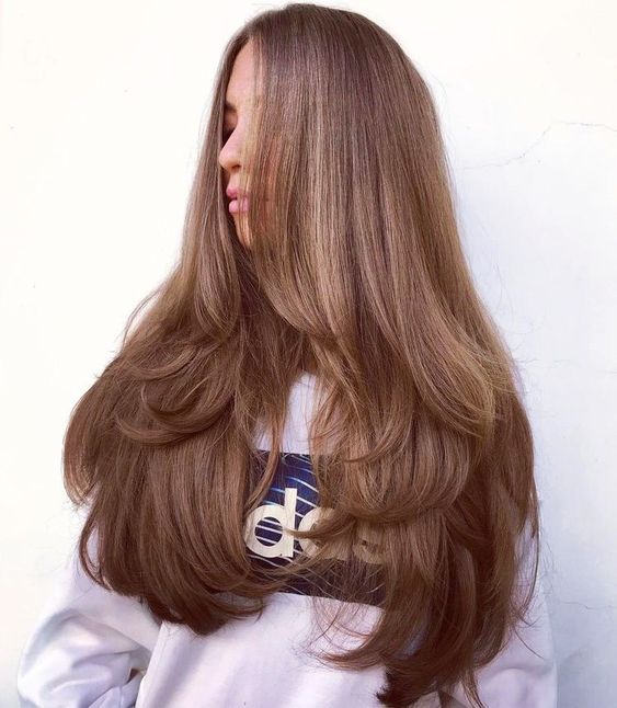 Light Brown Long Hair