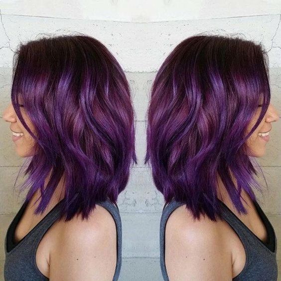Purple Lob