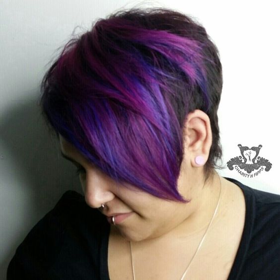 Purple Pomp Pixie